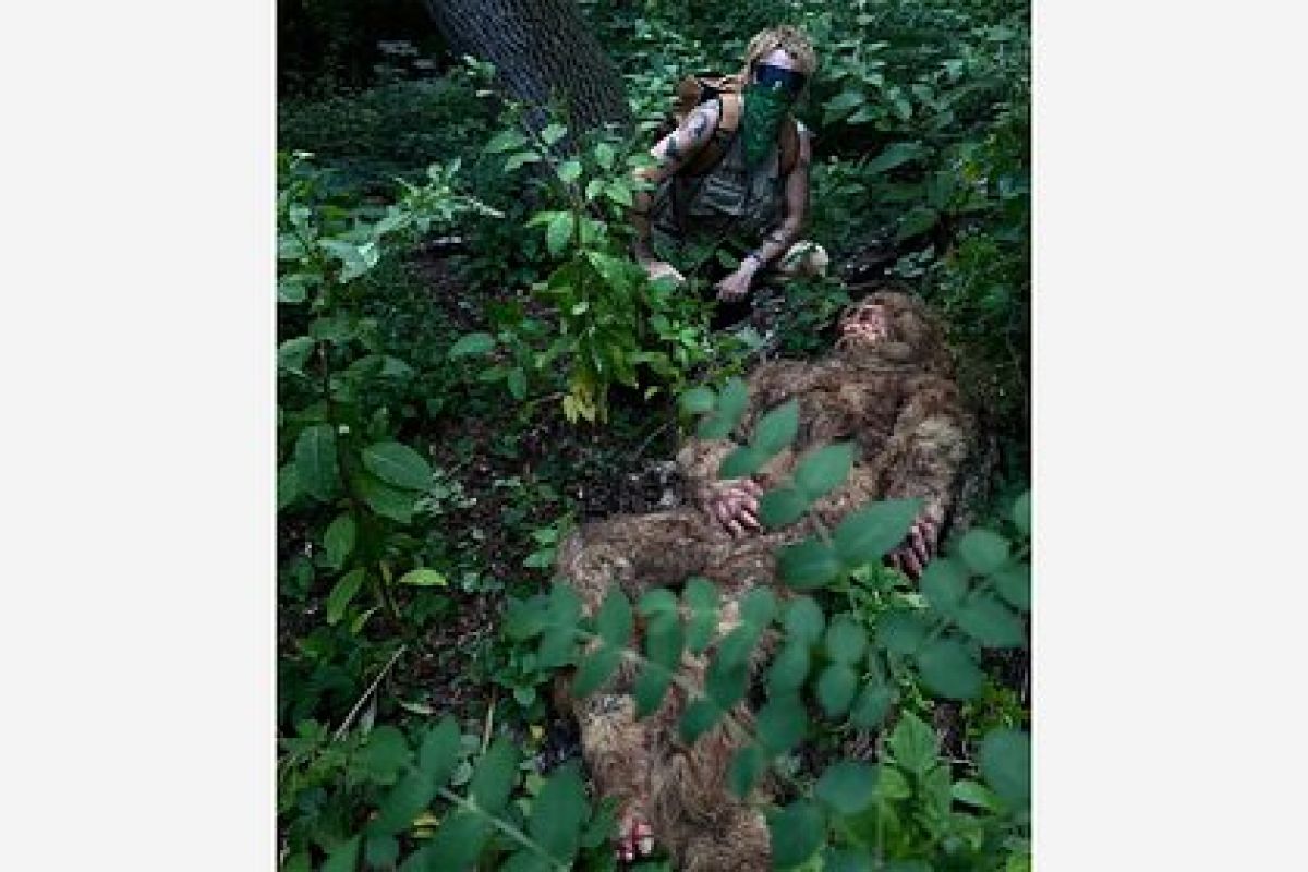 Фото с ленты https://lenta.ru/rss