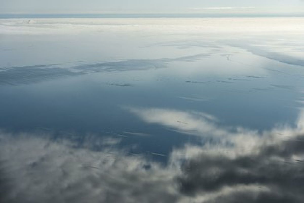 Фото с ленты https://lenta.ru/rss