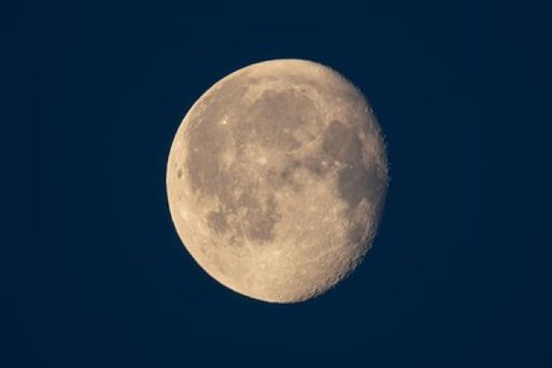 Фото с ленты https://lenta.ru/rss