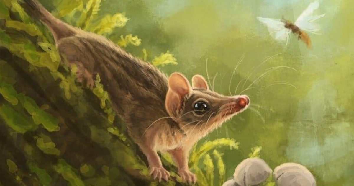 Фото с ленты N+1 (наука)